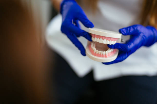Best Traditional Braces  in Paul, ID